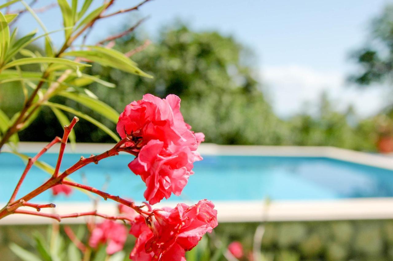 Villa Regina Serafina Balçık Dış mekan fotoğraf